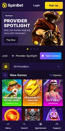 spinbet about