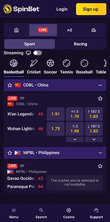spinbet mobile experience