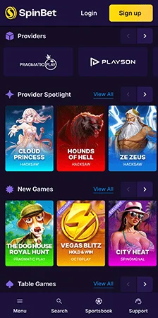 spinbet payment methods